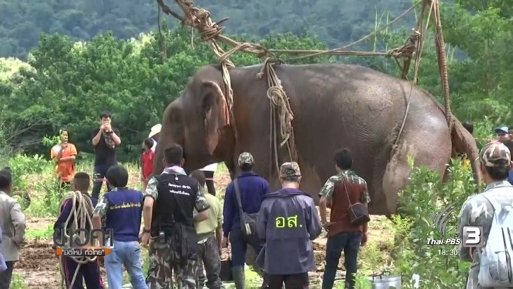 ประเด็นข่าว (19 ต.ค. 60)