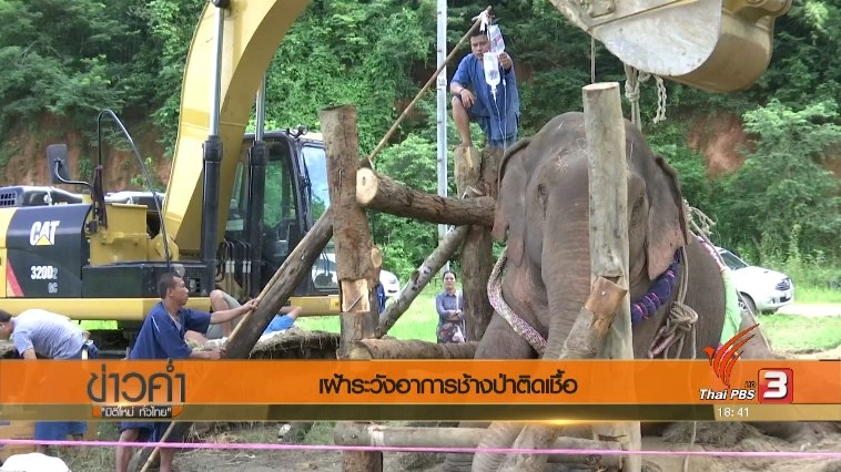 ประเด็นข่าว (20 ต.ค. 60)