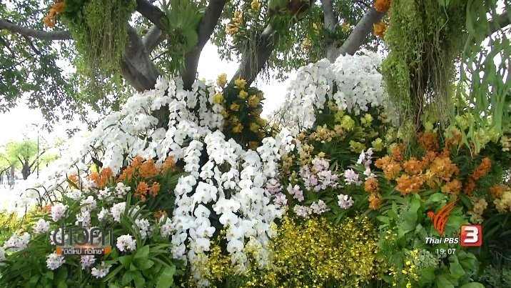 ประเด็นข่าว (22 ต.ค. 60)