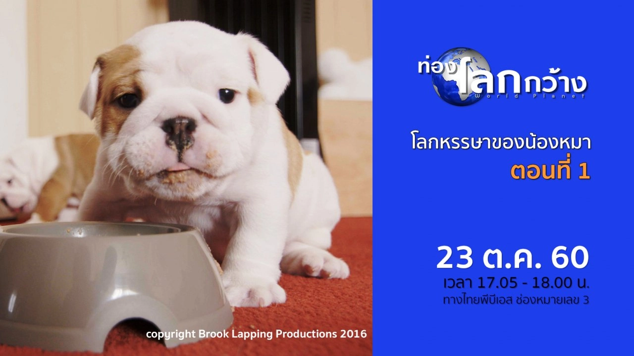 โลกหรรษาของน้องหมา ตอนที่ 1