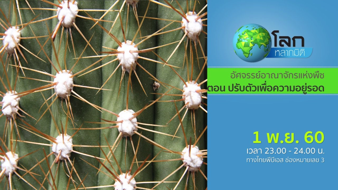 อัศจรรย์อาณาจักรแห่งพืช ตอน ปรับตัวเพื่อความอยู่รอด