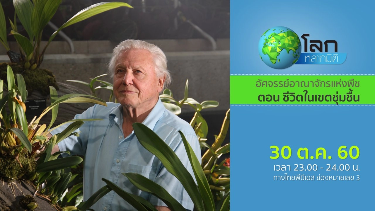 อัศจรรย์อาณาจักรแห่งพืช ตอน ชีวิตในเขตชุ่มชื้น