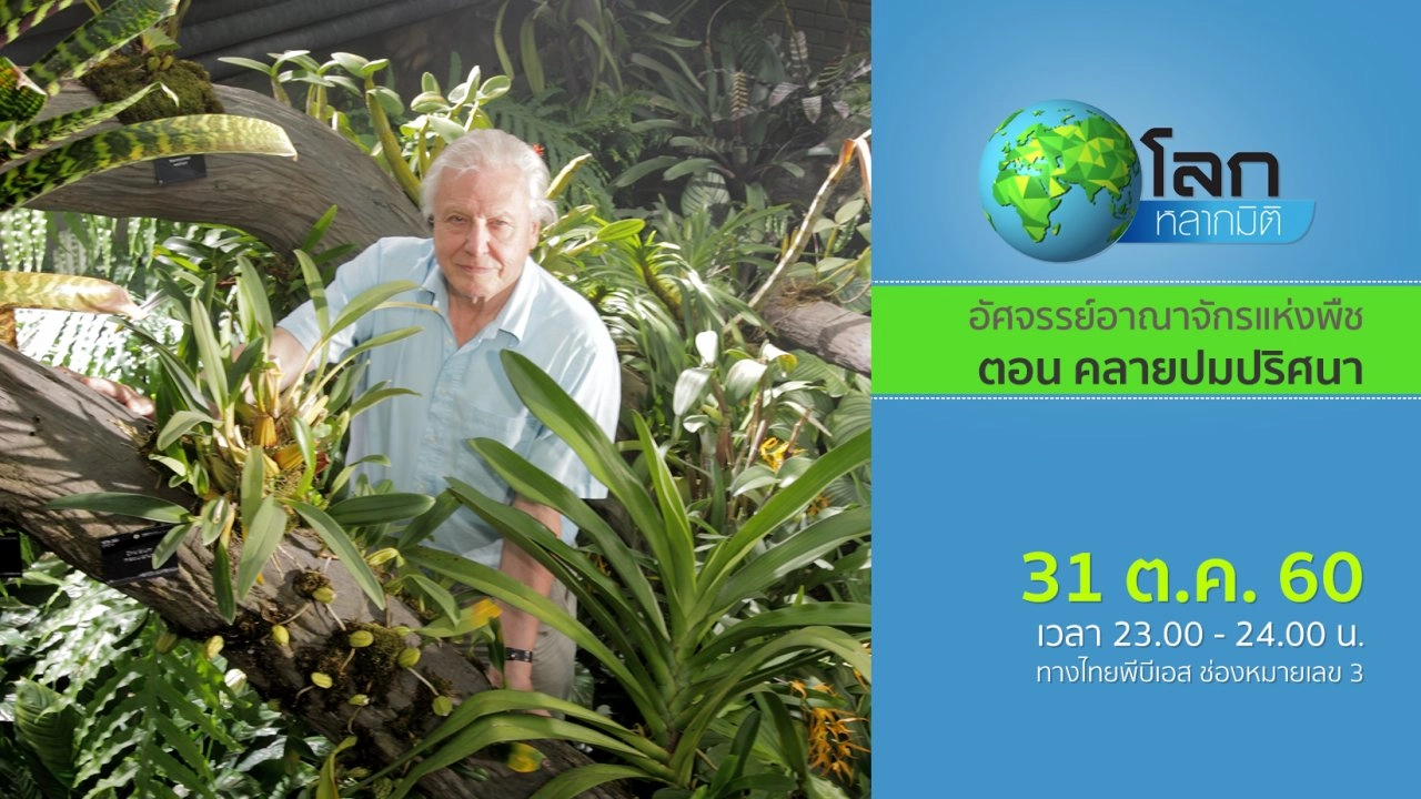 อัศจรรย์อาณาจักรแห่งพืช ตอน คลายปมปริศนา