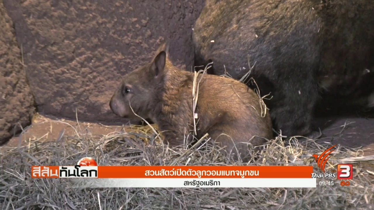 ประเด็นข่าว (28 ต.ค. 60)