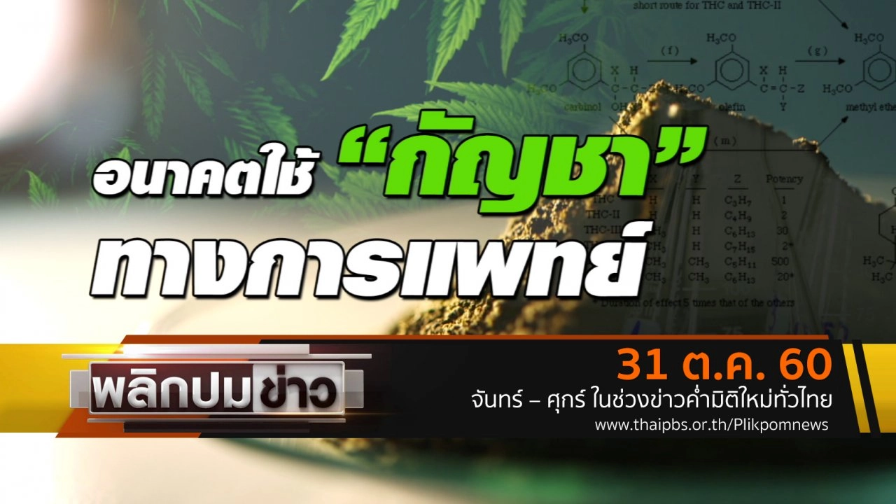 อนาคต "กัญชา" ทางการแพทย์