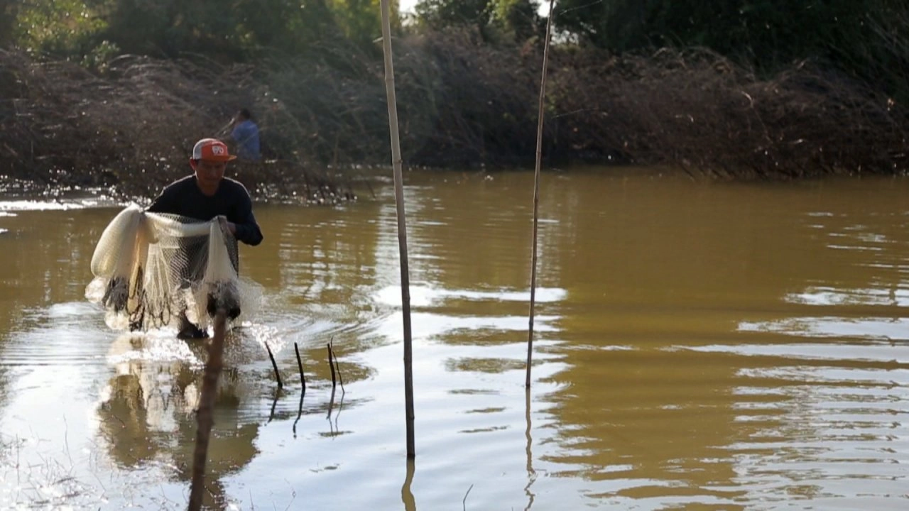 อินทรีย์เดลิเวอรี่, คนปลุกเมือง, ข้าวแลกปลา นาน้ำท่วม