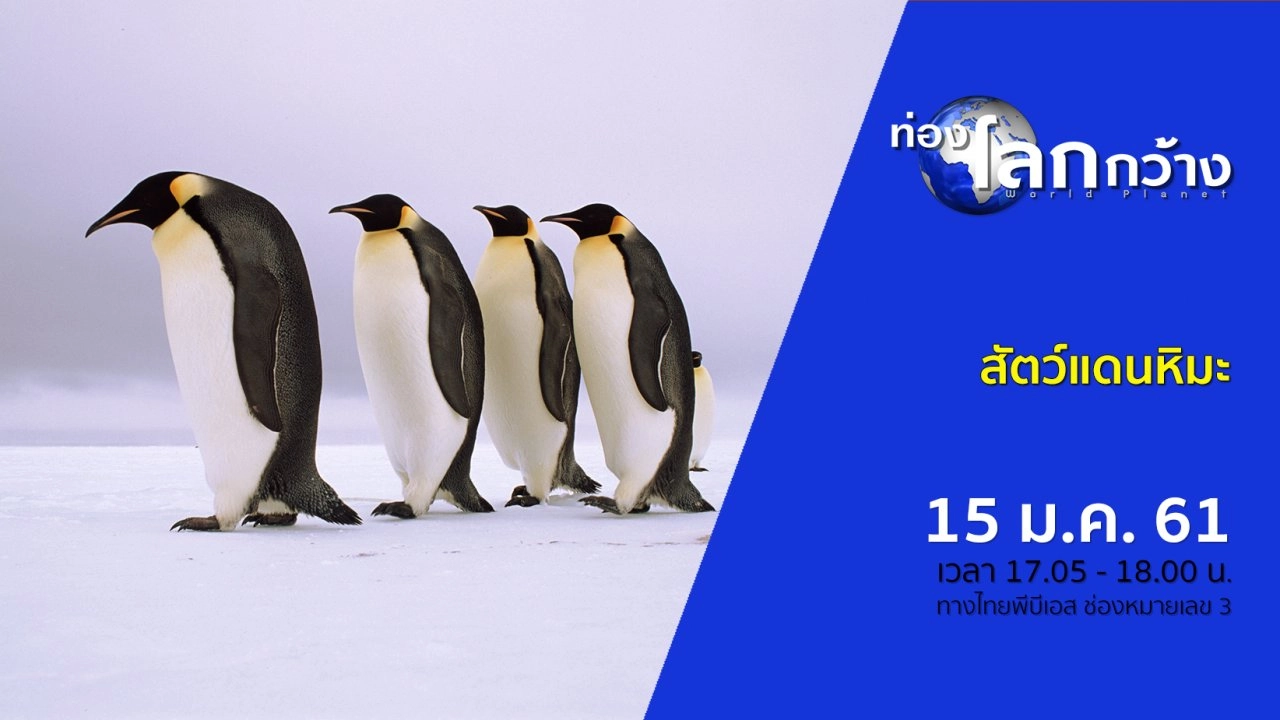 สัตว์แดนหิมะ