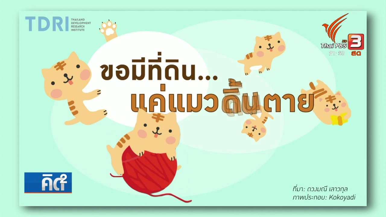 "ถือครองที่ดิน" ชี้ความเหลื่อมล้ำในไทย