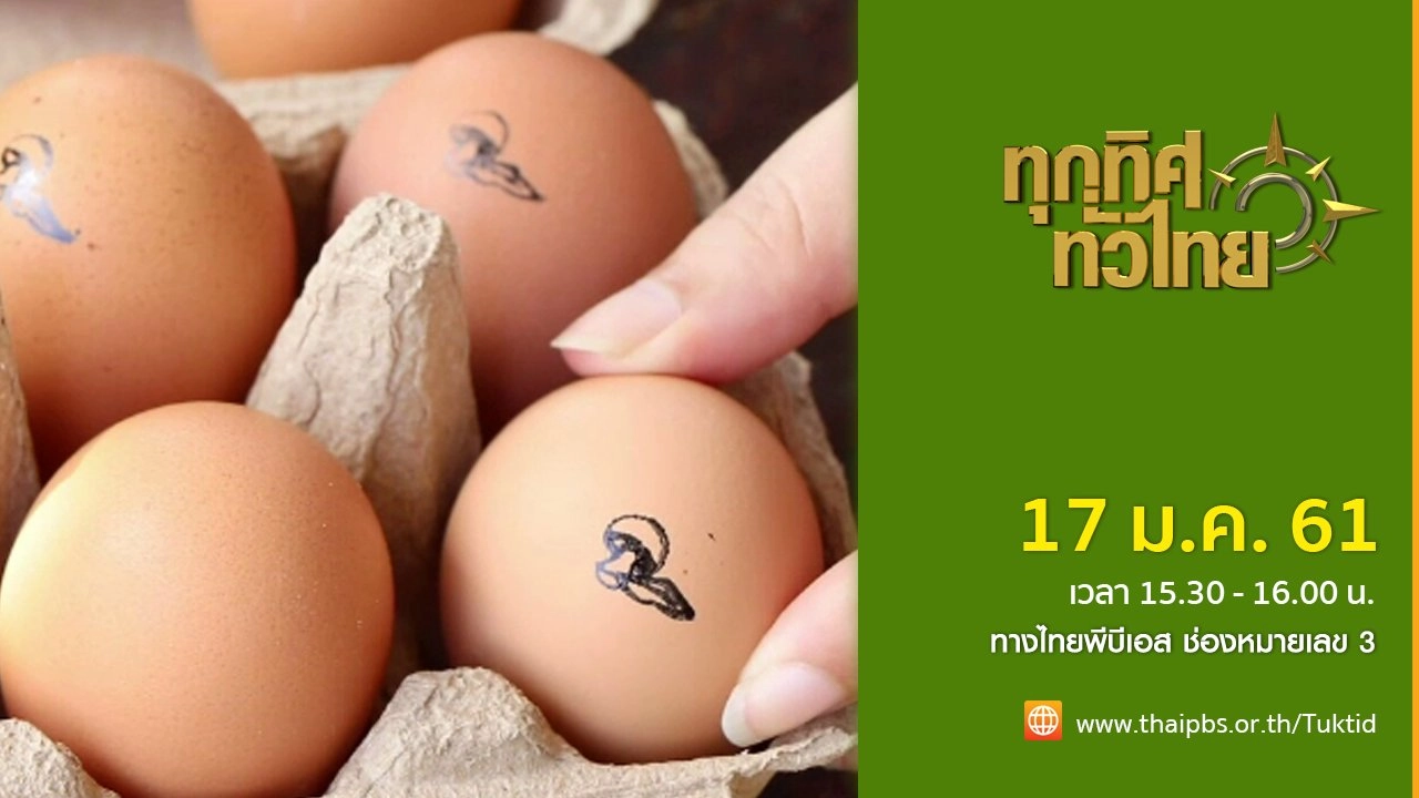 ประเด็นข่าว (17 ม.ค. 61)