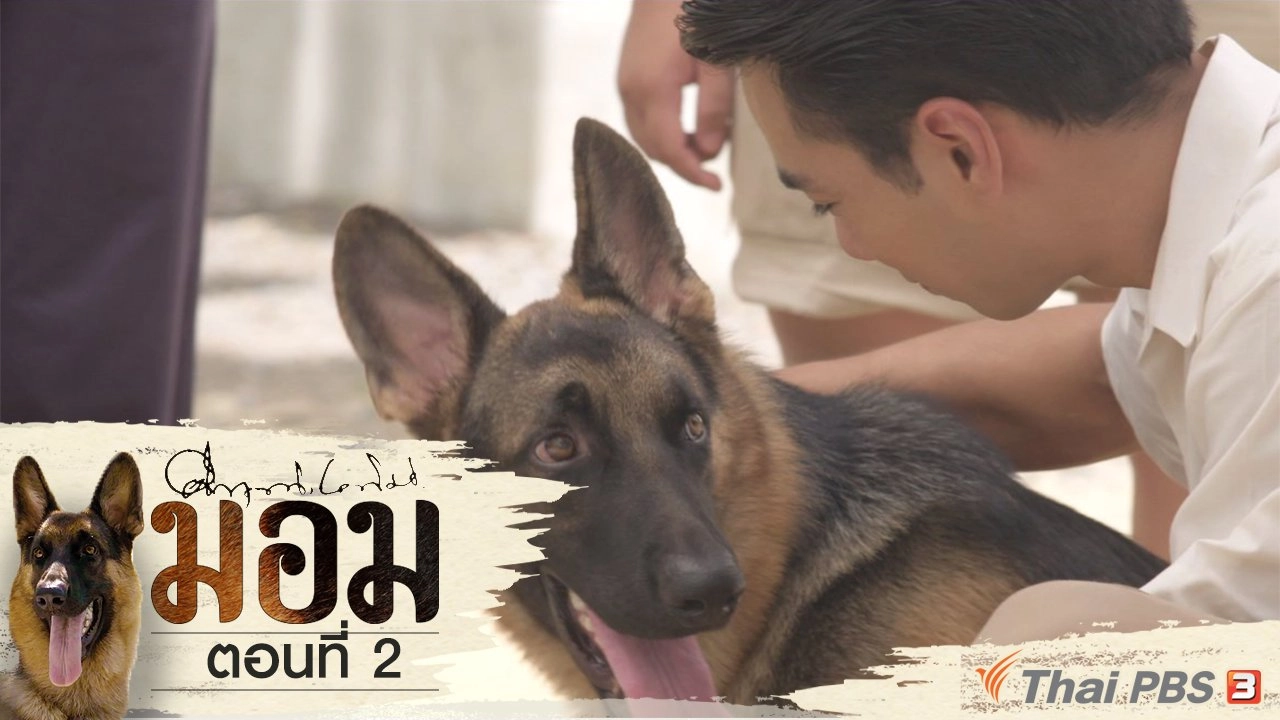 ตอนที่ 2