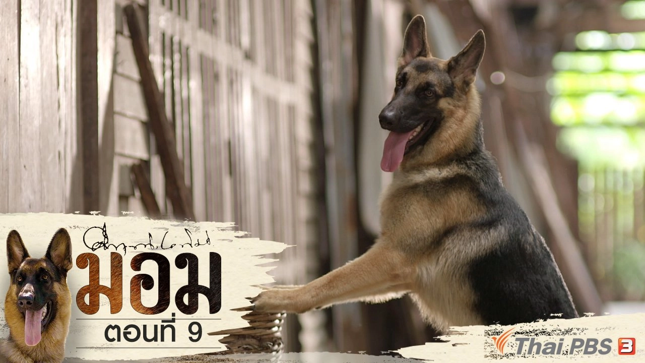 ตอนที่ 9