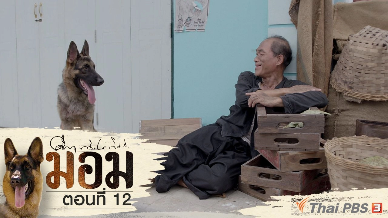 ตอนที่ 12