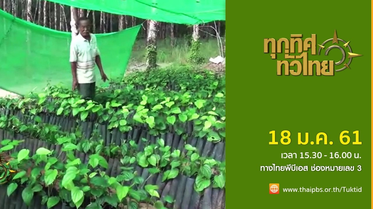 ประเด็นข่าว (18 ม.ค. 61)