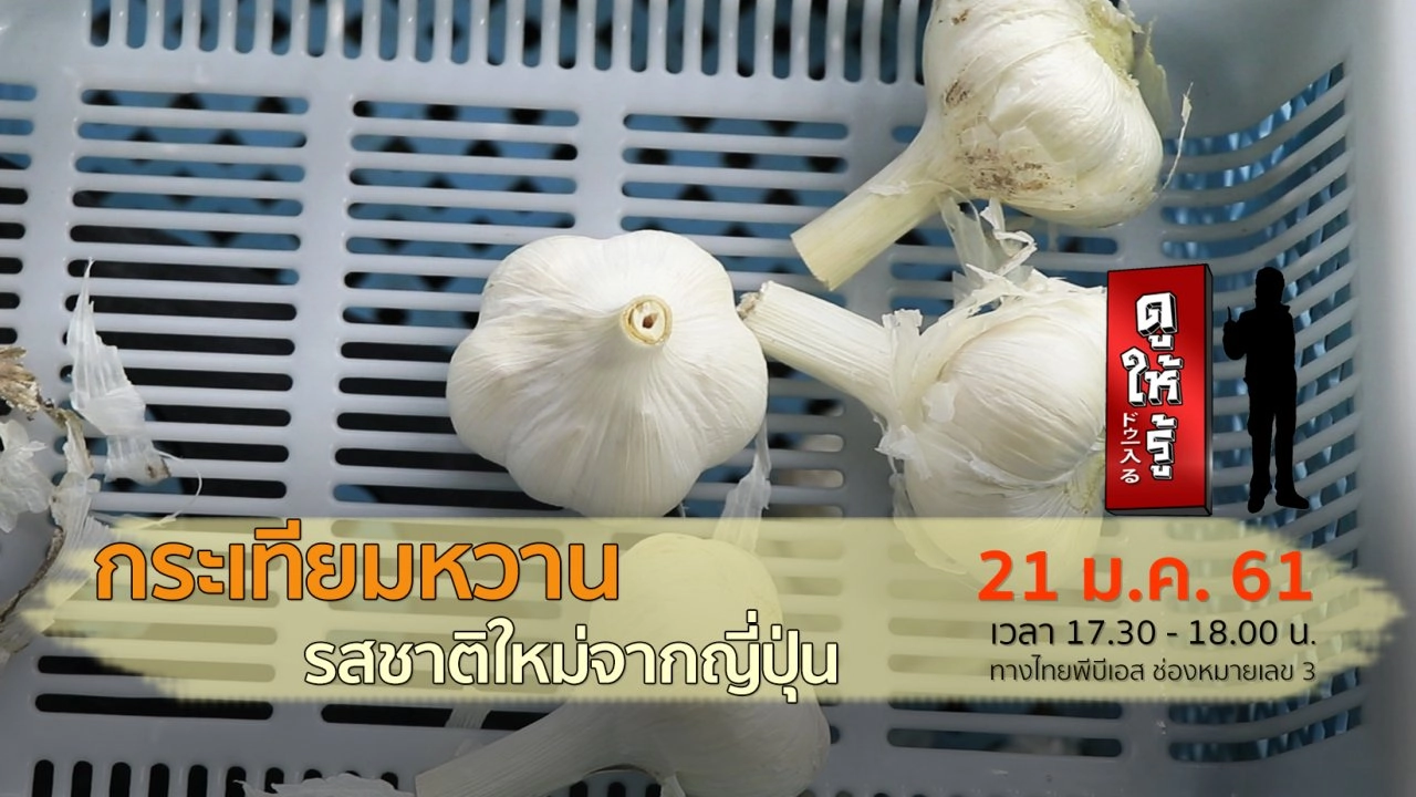 กระเทียมหวาน รสชาติใหม่จากญี่ปุ่น