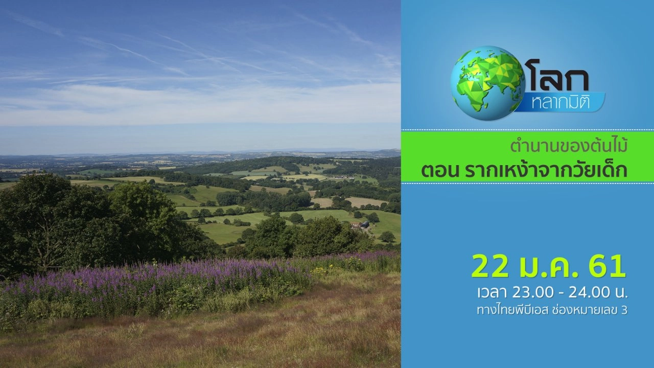 ตำนานของต้นไม้ ตอน รากเหง้าจากวัยเด็ก