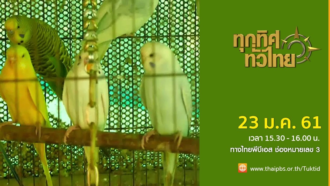 ประเด็นข่าว (23 ม.ค. 61)