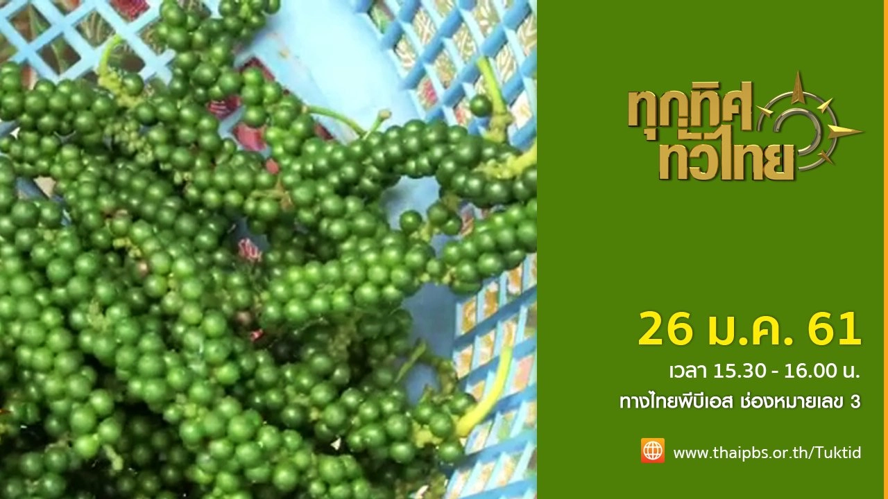 ทุกทิศทั่วไทย