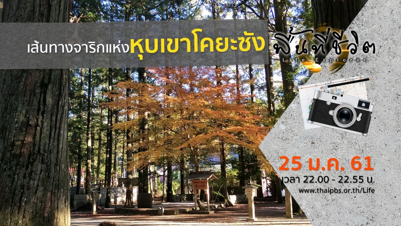 เส้นทางจาริกแห่งหุบเขาโคยะซัง