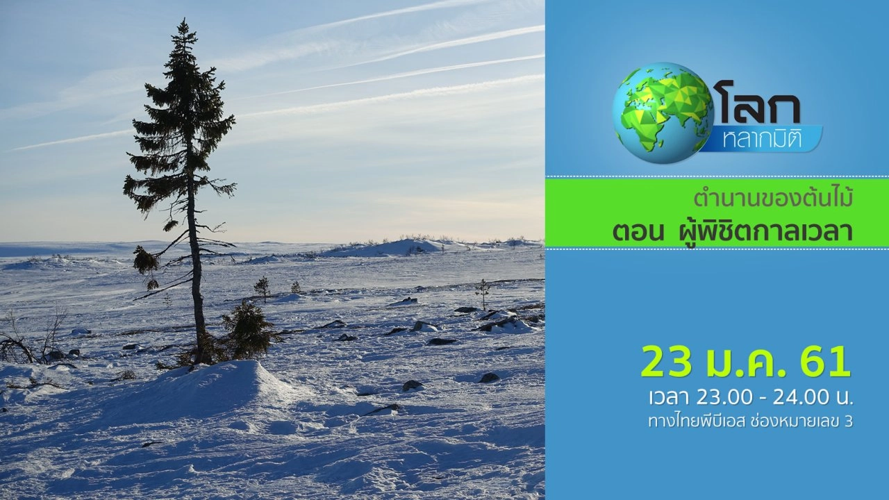 ตำนานของต้นไม้ ตอน ผู้พิชิตกาลเวลา