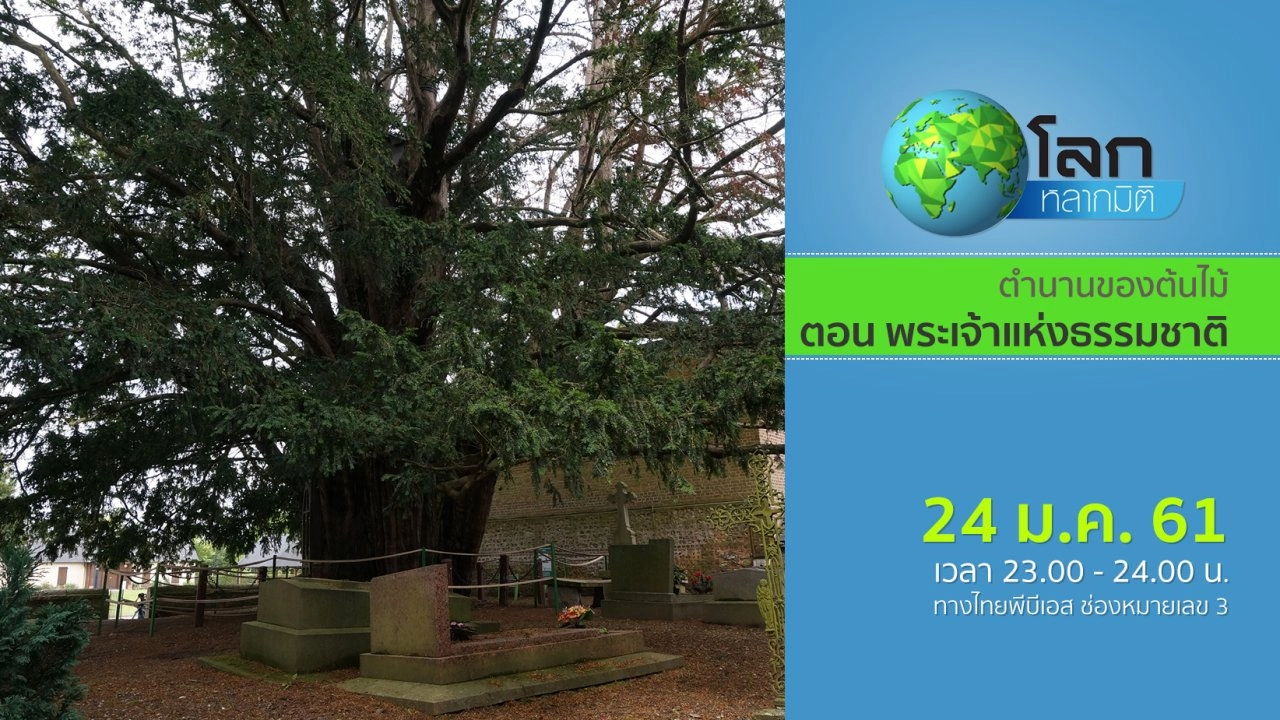 ตำนานของต้นไม้ ตอน พระเจ้าแห่งธรรมชาติ