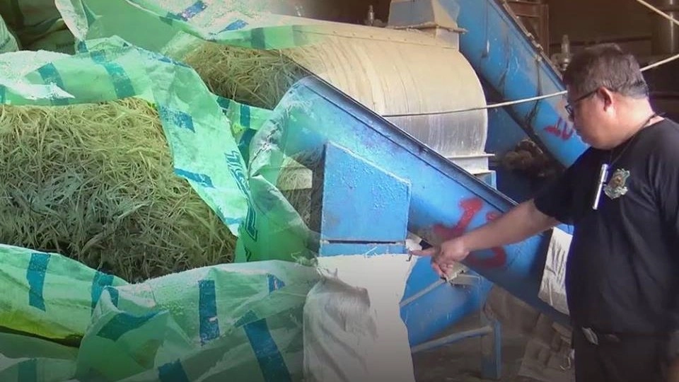 บริษัทขอเวลา 15 วันขนย้ายซากขนไก่ส่งกลิ่นเหม็น อ.จะนะ จ.สงขลา