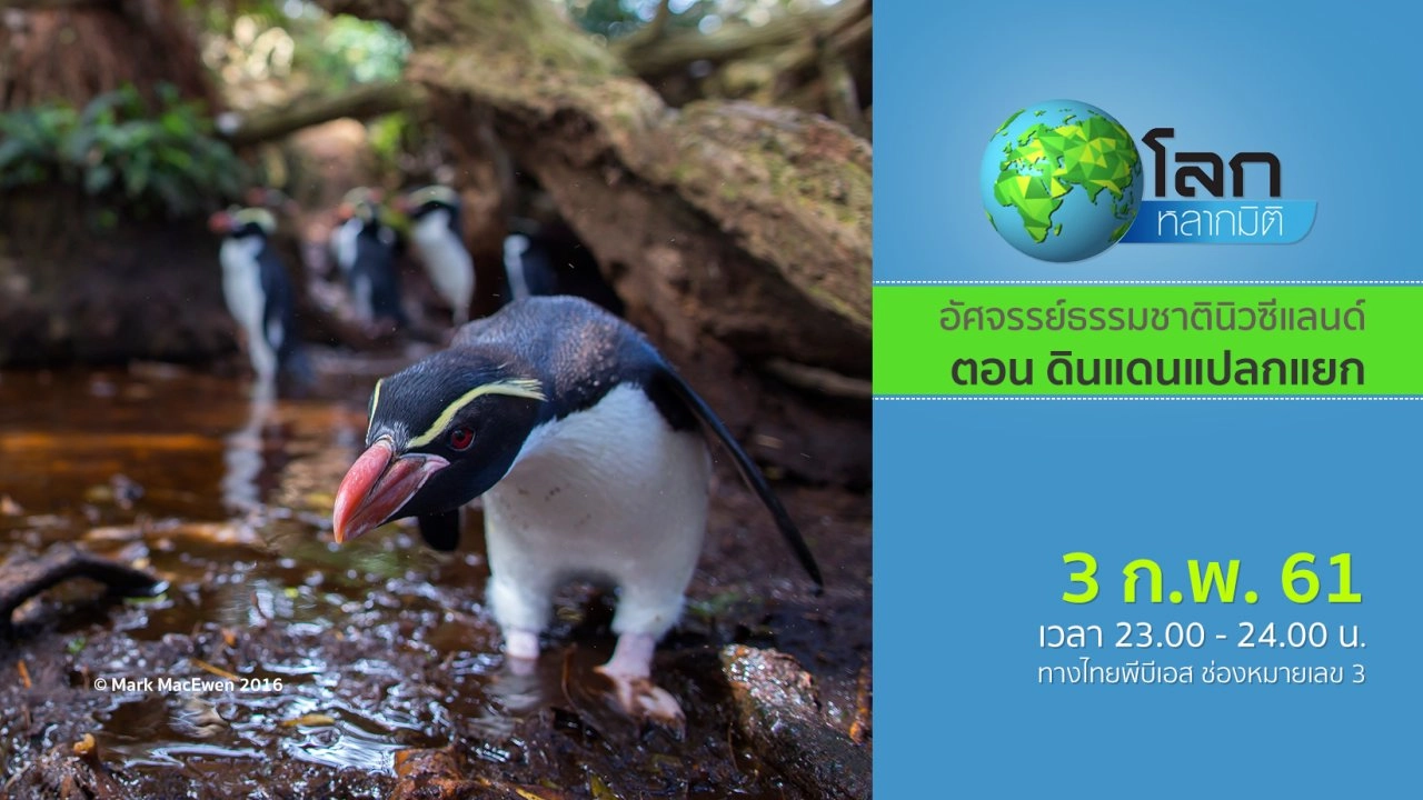 อัศจรรย์ธรรมชาตินิวซีแลนด์ ตอน ดินแดนแปลกแยก