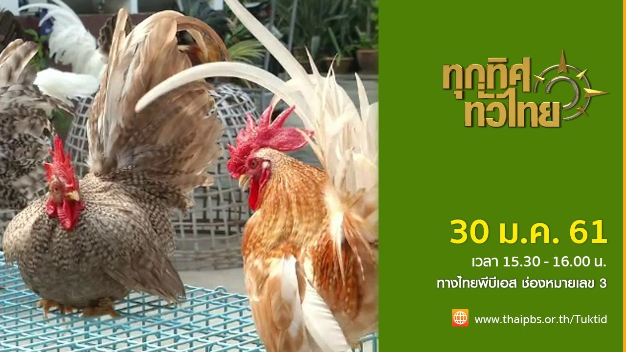 ประเด็นข่าว (30 ม.ค. 61)