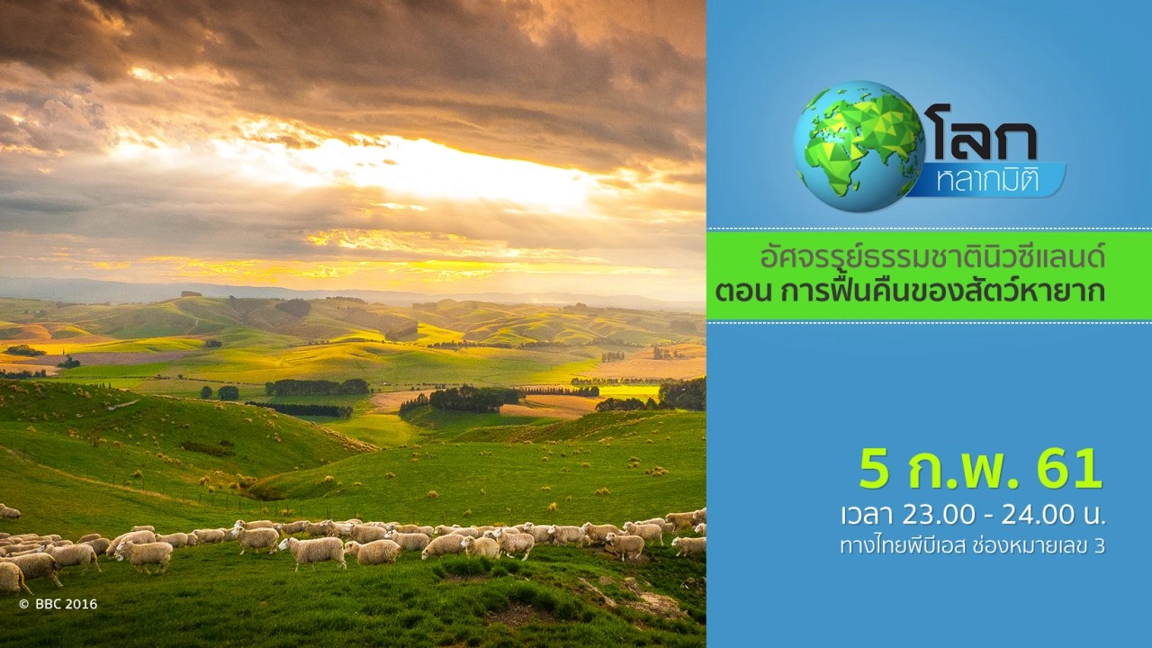 อัศจรรย์ธรรมชาตินิวซีแลนด์ ตอน การฟื้นคืนของสัตว์หายาก