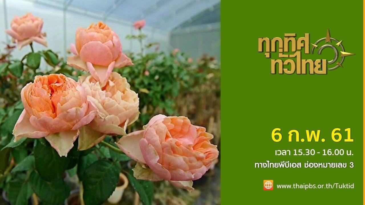 ประเด็นข่าว ( 6 ก.พ. 61)