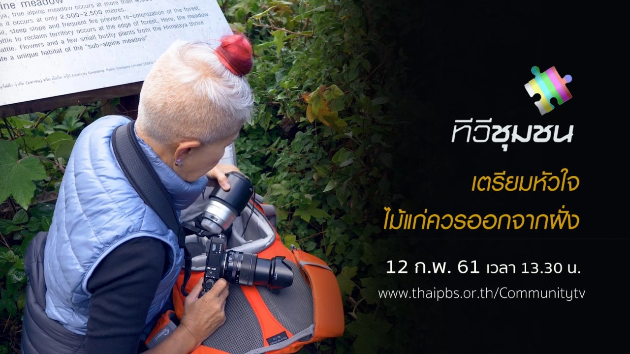 เตรียมหัวใจ...ไม้แก่ควรออกจากฝั่ง