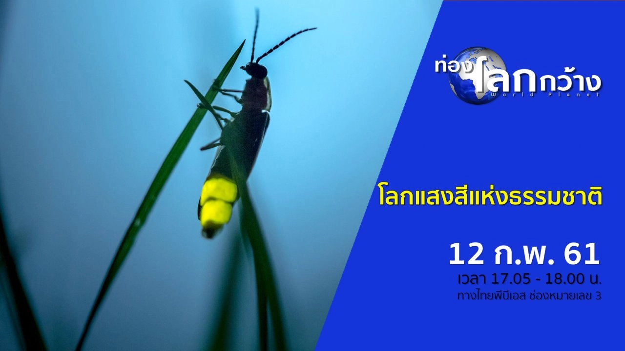 โลกแสงสีแห่งธรรมชาติ