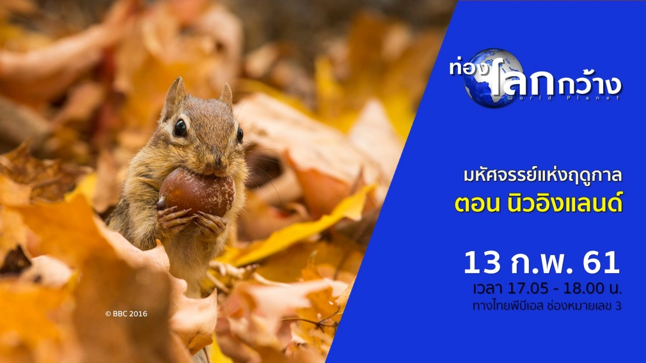 มหัศจรรย์แห่งฤดูกาล ตอน นิวอิงแลนด์