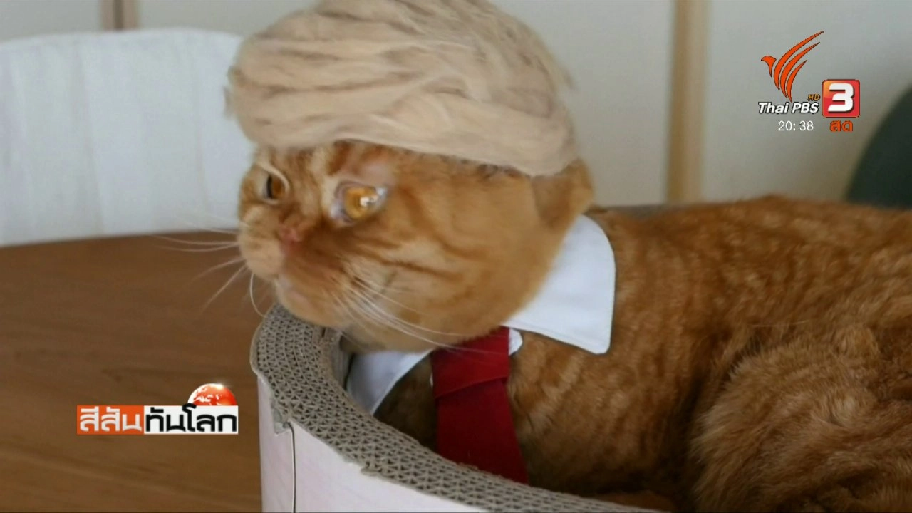 ประเด็นข่าว (14 ก.พ. 61)