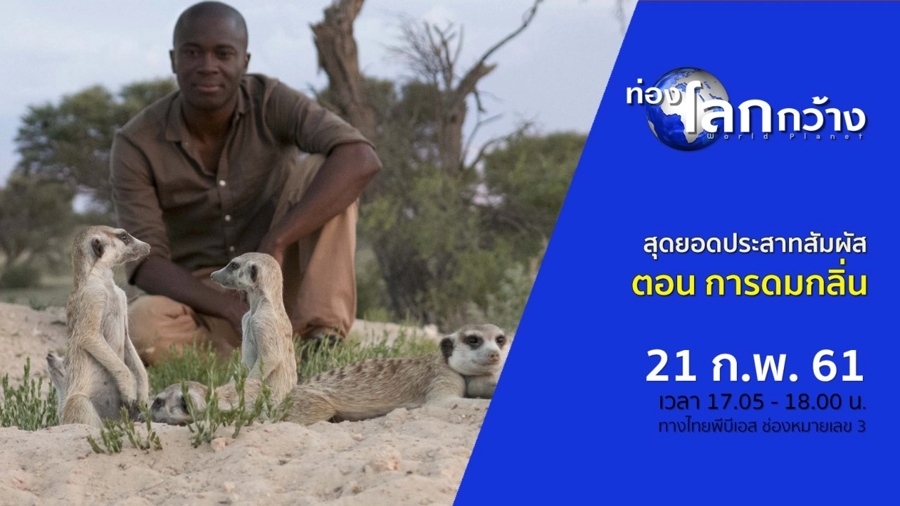 สุดยอดประสาทสัมผัส ตอน การดมกลิ่น