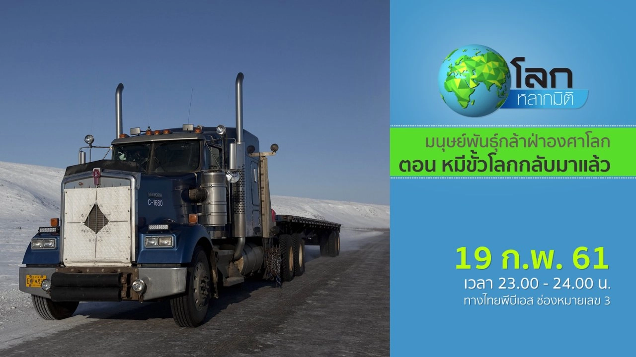 มนุษย์พันธุ์กล้าฝ่าองศาโลก ตอน หมีขั้วโลกกลับมาแล้ว