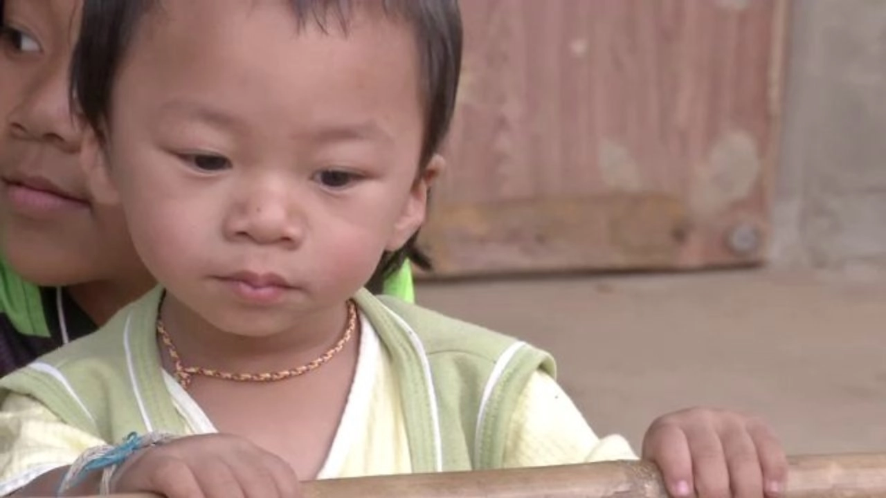 พาราควอต เดิมพันอนาคตเด็กไทย