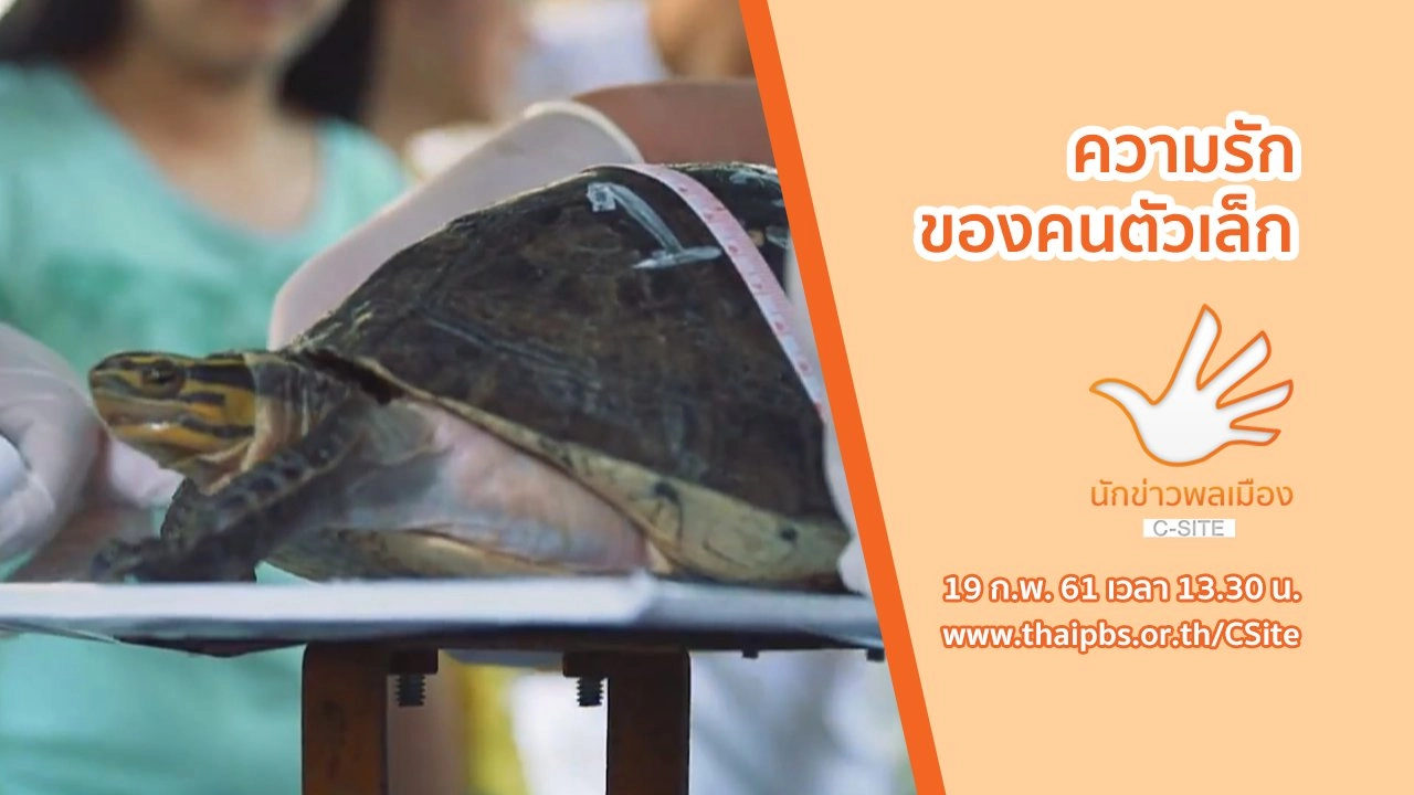 นักข่าวพลเมือง C-Site