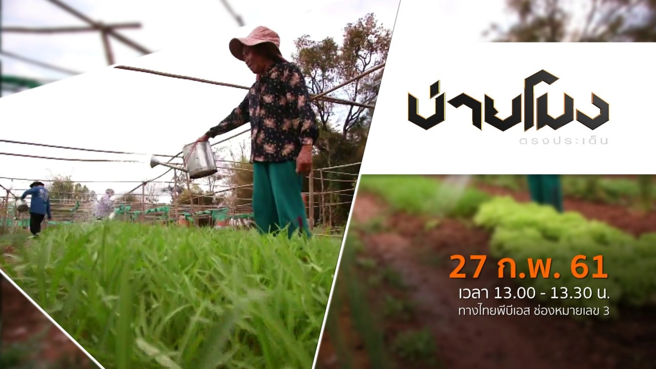 ประเด็นข่าว ( 27 ก.พ. 61)