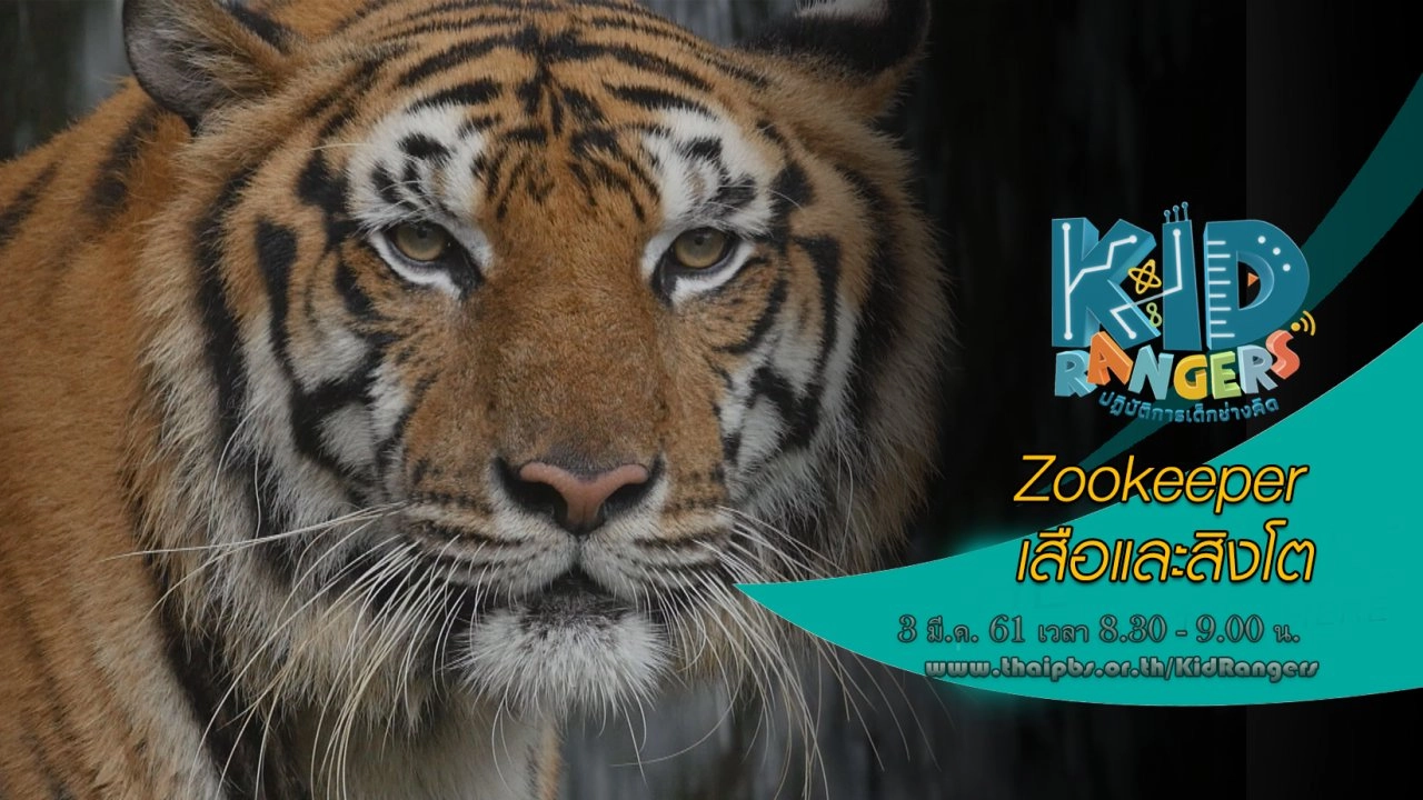 Zookeeper เสือและสิงโต