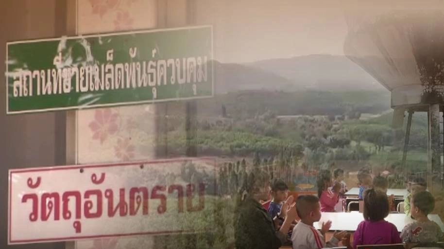 สารเคมีเกษตรปนปื้อนในดินและน้ำกระทบสุขภาพหรือไม่?