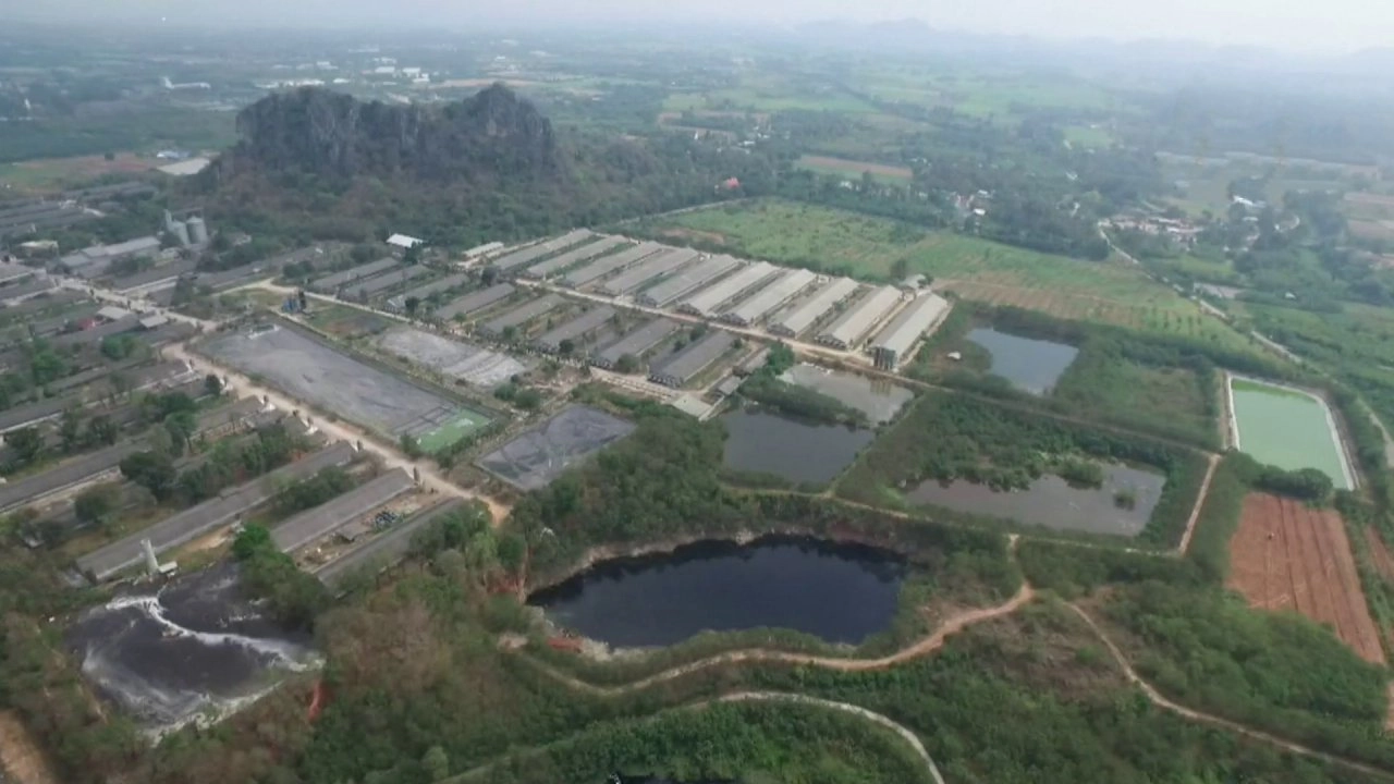 ฟาร์มหมูปล่อยน้ำเสียลงแม่น้ำสาธารณะ กระทบพื้นที่การเกษตร อ.เมือง จ.ราชบุรี