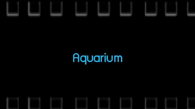 ​Aquarium