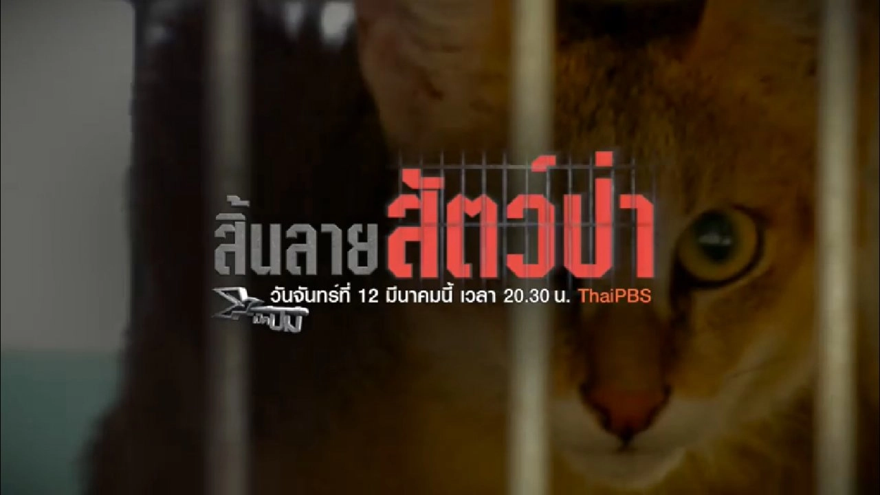 สิ้นลายสัตว์ป่า