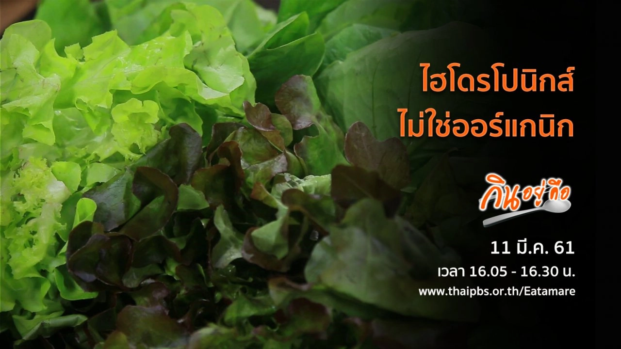 ไฮโดรโปนิกส์ไม่ใช่ออร์แกนิก