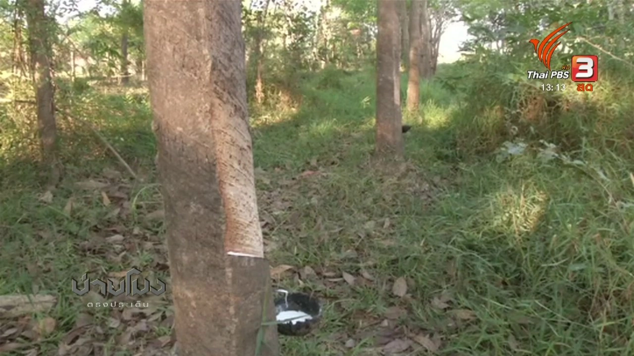 ประเด็นข่าว ( 14 มี.ค. 61)