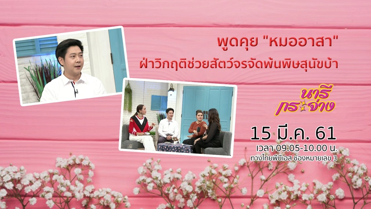 พูดคุย "หมออาสา" ฝ่าวิกฤติช่วยสัตว์จรจัดพ้นพิษสุนัขบ้า