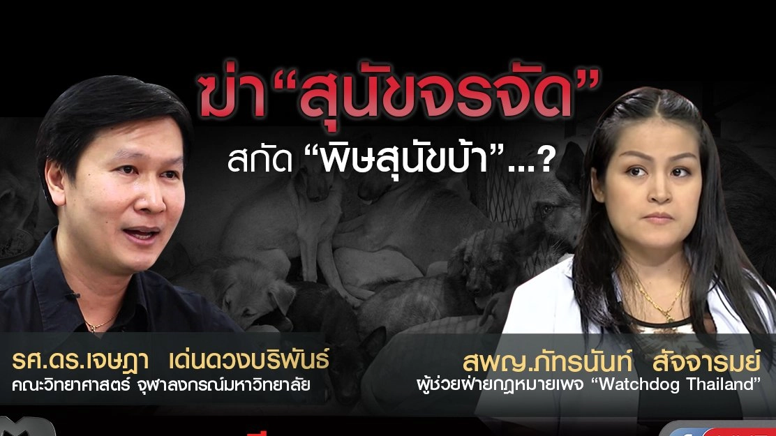 ฆ่า “สุนัขจรจัด” สกัด “พิษสุนัขบ้า” ...?