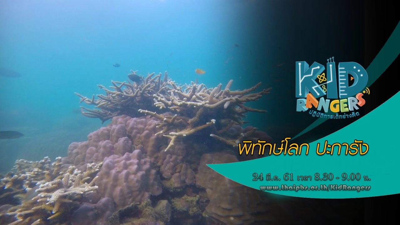 พิทักษ์โลก ปะการัง