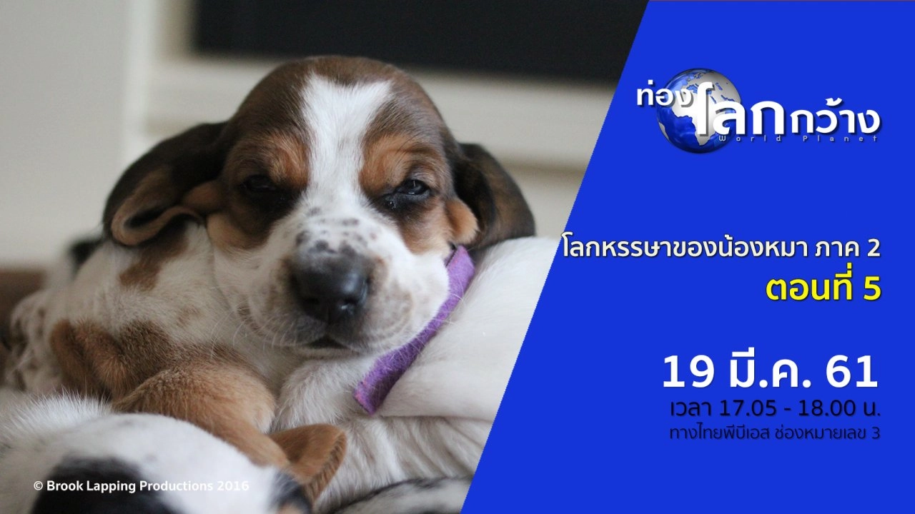 โลกหรรษาของน้องหมา ภาค 2 ตอนที่ 5