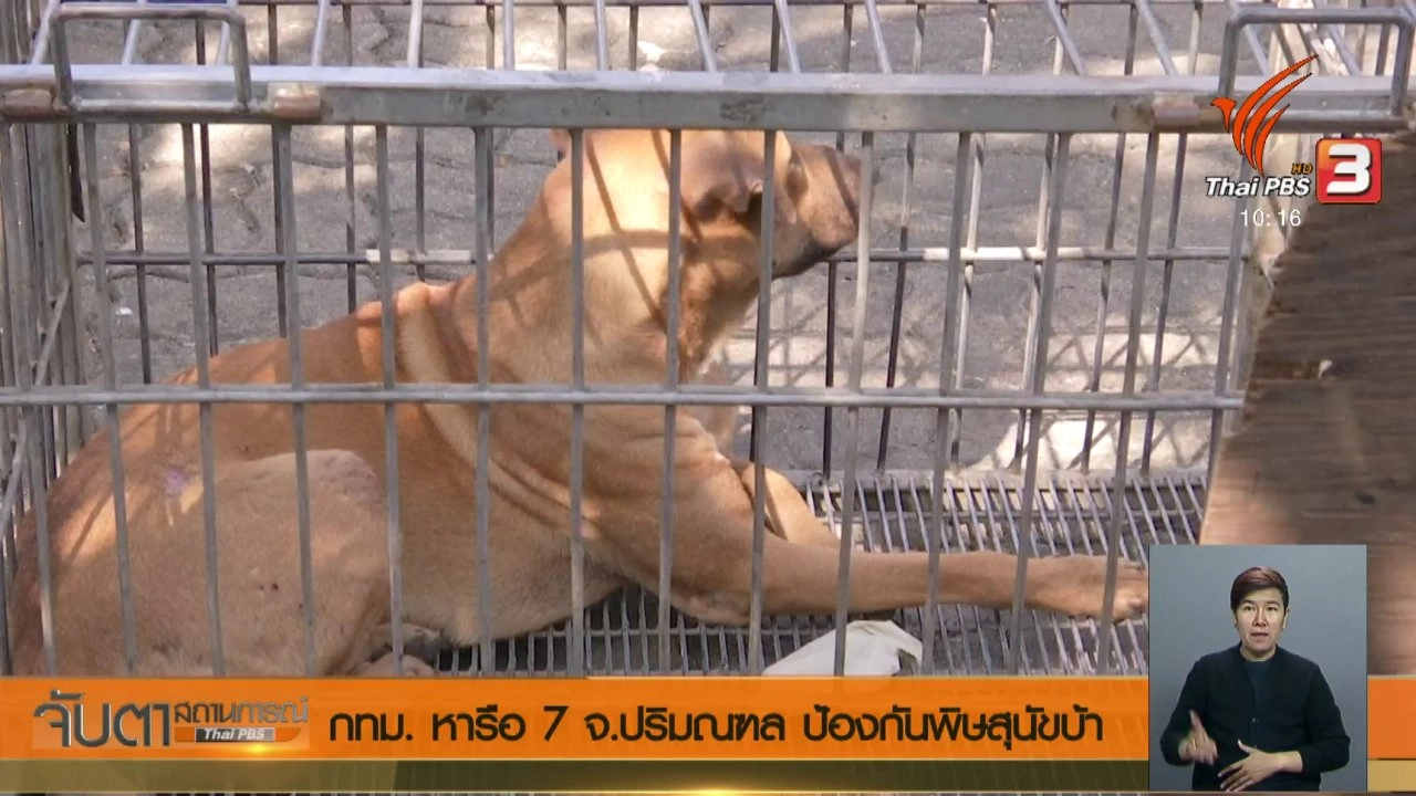 ประเด็นข่าว (21 มี.ค. 61)